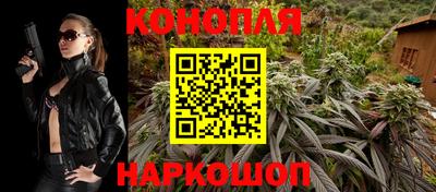 прущие грибы Белореченск
