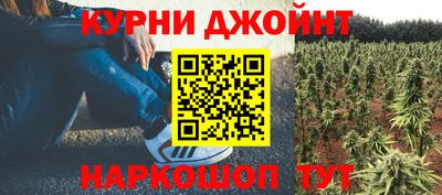 ПСИЛОЦИБИНОВЫЕ ГРИБЫ Бердск