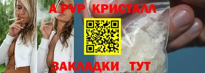 прущие грибы Белореченск